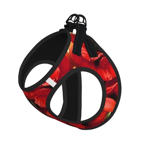 S Leash Hundegeschirr, kleine Größe, schöner roter Mohnblumen-Druck, Haustier-Leinen-Set, reflektierend, für Outdoor und Spaziergänge mit dem Hund S Leash Hundegeschirr, kleine Größe, schöner roter Mohnblumen-Druck, Haustier-Leinen-Set, reflektierend, für Outdoor und Spaziergänge mit dem Hund von ZHAOUR