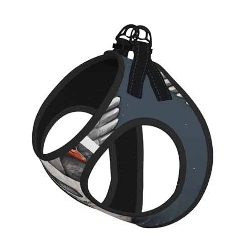 S Leash Hundegeschirr, kleine Größe, schöner weißer Schwanen-Druck, Haustier-Leinen-Set, reflektierend, für Outdoor und Spaziergänge mit dem Hund von ZHAOUR