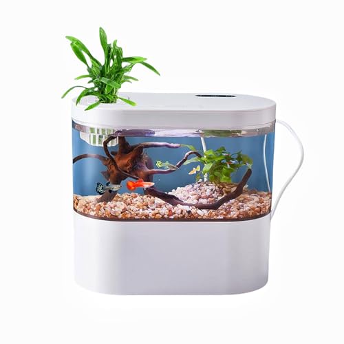 Fish Tank Betta Aquarium Starter Kits Multifunktionales kleines Aquarium mit LED und automatischem Zirkulationssystem von ZHENGE