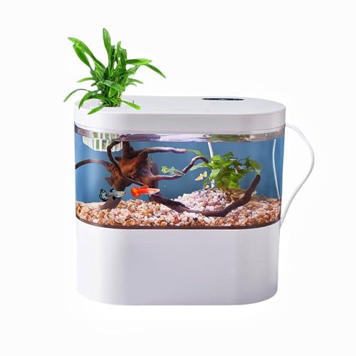 Fish Tank Betta Aquarium Starter Kits Multifunktionales kleines Aquarium mit LED und automatischem Zirkulationssystem Fish Tank Betta Aquarium Starter Kits Multifunktionales kleines Aquarium mit LED und automatischem Zirkulationssystem von ZHENGE
