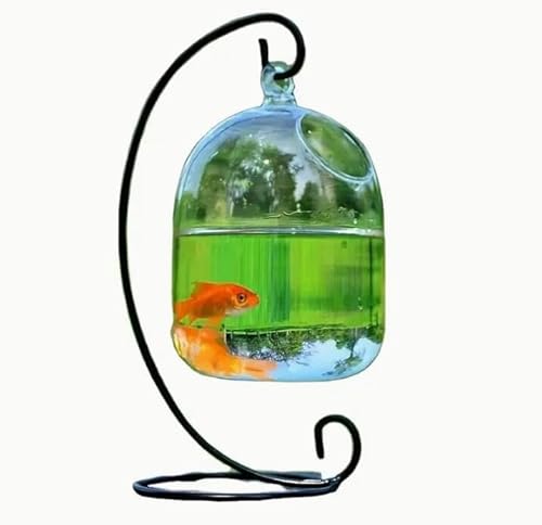 Kreative Glasfischschale mit Ständer für Heimdekoration – kleines Tischaquarium mit hängendem Design und schwarzem Ständer Kreative Glasfischschale mit Ständer für Heimdekoration – kleines Tischaquarium mit hängendem Design und schwarzem Ständer von ZHENGE