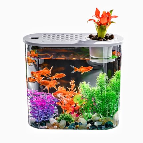 Mini-LED-Aquarium-Set mit intelligenter Clean-Technologie, multifunktionales Desktop-Aquarium Mini-LED-Aquarium-Set mit intelligenter Clean-Technologie, multifunktionales Desktop-Aquarium von ZHENGE