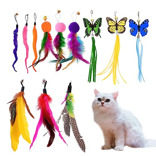 ZHGG Katzenspielzeug Feder Ersatzkern, 12PCS Katze Feder Spielzeug Plüsch Spielzeug Kern Austauschbare Katze Stick Befestigung ZHGG Katzenspielzeug Feder Ersatzkern, 12PCS Katze Feder Spielzeug Plüsch Spielzeug Kern Austauschbare Katze Stick Befestigung von ZHGG