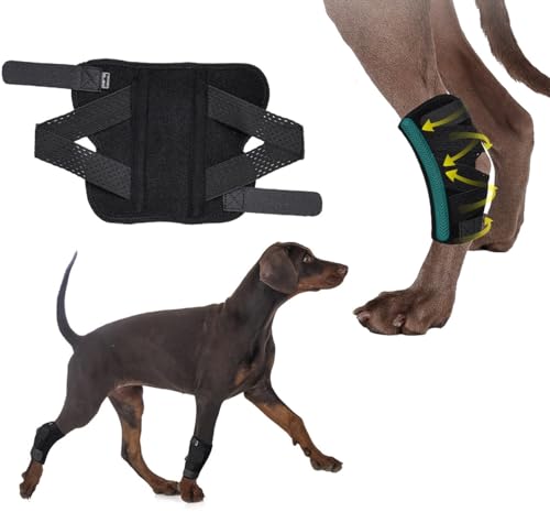ZHHSUNY 1 Paar Kniebandage für Hunde, Beinschiene für Hunde, universell für die Gliedmaßen, zur Heilung von Wunden, Verstauchungen und Arthritis im Haus, Prävention von Sekundärverletzungen (L) von ZHHSUNY