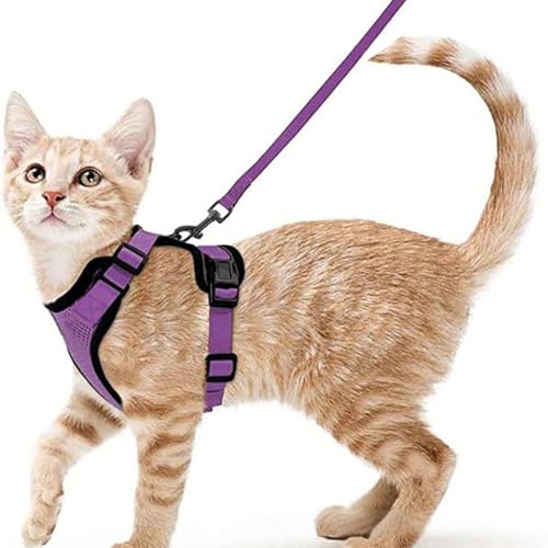 ZHHSUNY Geschirr für Kätzchen, verstellbar, auslaufsicher, für Katzen, reflektierende Weste, weich und atmungsaktiv, Halsband mit Zugseil, anwendbar für Kaninchen, europäische Katze (Farbe Violett, XS ZHHSUNY Geschirr für Kätzchen, verstellbar, auslaufsicher, für Katzen, reflektierende Weste, weich und atmungsaktiv, Halsband mit Zugseil, anwendbar für Kaninchen, europäische Katze (Farbe Violett, XS von ZHHSUNY
