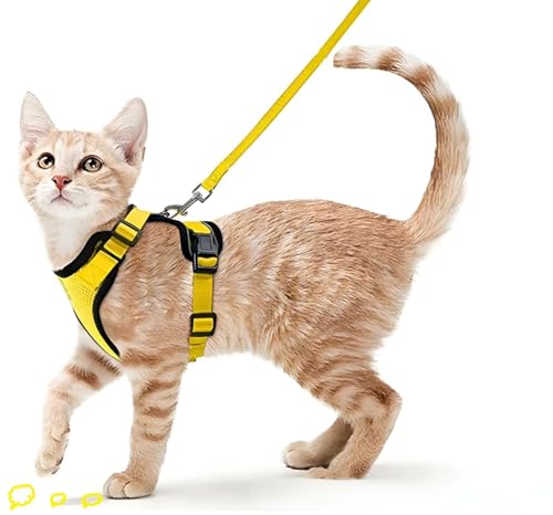 ZHHSUNY Geschirr für Kätzchen, verstellbar, auslaufsicher, für Katzen, reflektierende Weste, weich und atmungsaktiv, Halsband mit Zugseil, anwendbar für Kaninchen, europäische Katze (Gelb, S) von ZHHSUNY