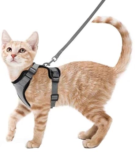 ZHHSUNY Geschirr für Kätzchen, verstellbar, auslaufsicher, für Katzen, reflektierende Weste, weich und atmungsaktiv, Halsband mit Zugseil, anwendbar für Kaninchen, europäische Katze (Grau, XS) von ZHHSUNY