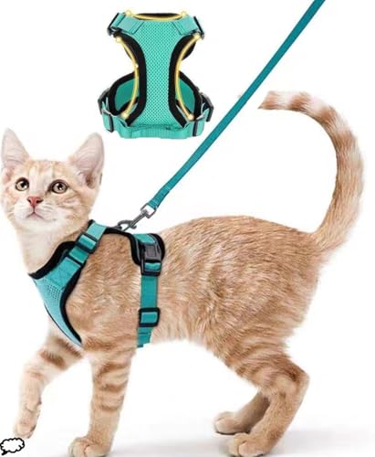 ZHHSUNY Geschirr für Kätzchen, verstellbar, auslaufsicher, für Katzen, reflektierende Weste, weich und atmungsaktiv, Halsband mit Zugseil, anwendbar für Kaninchen, europäische Katze (Grün, S) von ZHHSUNY