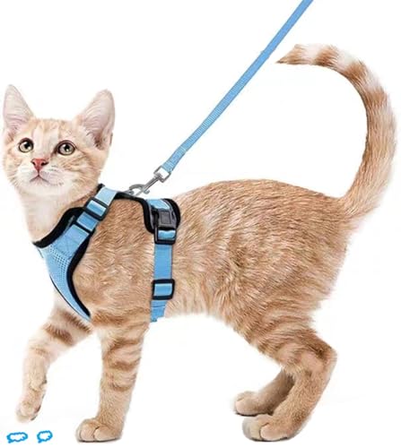 ZHHSUNY Geschirr für Kätzchen, verstellbar, auslaufsicher, für Katzen, reflektierende Weste, weich und atmungsaktiv, Halsband mit Zugseil, anwendbar für Kaninchen, europäische Katze (Hellblau, XS) ZHHSUNY Geschirr für Kätzchen, verstellbar, auslaufsicher, für Katzen, reflektierende Weste, weich und atmungsaktiv, Halsband mit Zugseil, anwendbar für Kaninchen, europäische Katze (Hellblau, XS) von ZHHSUNY