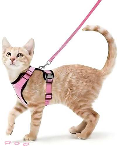 ZHHSUNY Geschirr für Kätzchen, verstellbar, auslaufsicher, für Katzen, reflektierende Weste, weich und atmungsaktiv, Halsband mit Zugseil, anwendbar für Kaninchen, europäische Katze (Rosa, XS) von ZHHSUNY