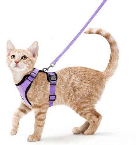 ZHHSUNY Geschirr für Kätzchen, verstellbar, auslaufsicher, für Katzen, reflektierende Weste, weich und atmungsaktiv, Halsband mit Zugseil, anwendbar für Kaninchen, europäische Katze (Hellviolett, XS) ZHHSUNY Geschirr für Kätzchen, verstellbar, auslaufsicher, für Katzen, reflektierende Weste, weich und atmungsaktiv, Halsband mit Zugseil, anwendbar für Kaninchen, europäische Katze (Hellviolett, XS) von ZHHSUNY