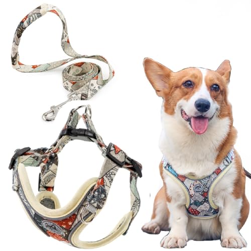 ZHHSUNY Hundegeschirr, verstellbar, atmungsaktiv, reflektierend, leicht, Frontclip, weiches Netzgewebe, gepolstert, ausbruchsicher, einfache Kontrolle, für Spaziergänge im Freien (Braun, XS) von ZHHSUNY