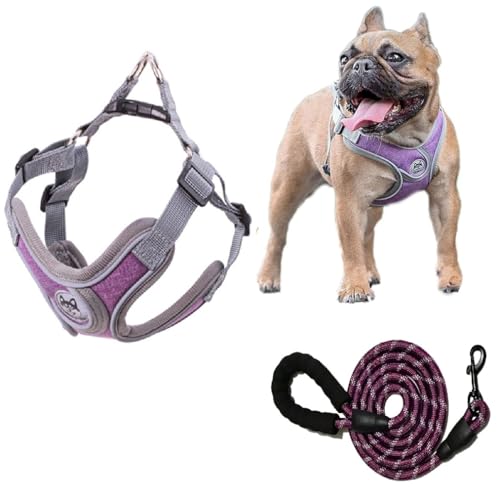 ZHHSUNY Reflektierendes Welpengeschirr und Leine, Sets für kleine Hunde, weich, atmungsaktiv, X-Rahmen, kein Ziehen, kein Würgen, verstellbare Weste, Geschirr für Spaziergänge (Lila, SX) von ZHHSUNY