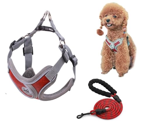 ZHHSUNY Reflektierendes Welpengeschirr und Leine, Sets für kleine Hunde, weich, atmungsaktiv, X-Rahmen, kein Ziehen, kein Würgen, verstellbare Weste, Geschirr für Spaziergänge (Rot, L) von ZHHSUNY