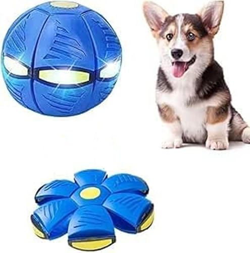 ZHHSUNY Upgrade mit Beleuchtung, Haustierspielzeug, fliegende Untertasse, Ball, Untertasse, Hund, Katze und Master, Spielzeug (blau) von ZHHSUNY
