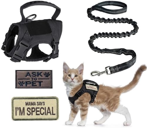 ZHHSUNY taktisches Katzengeschirr, verstellbares Haustier-Gehgeschirr mit gesticktem Logo, atmungsaktive und Anti-Escape reflektierende Schleppseil für Katzen(Schwarz) ZHHSUNY taktisches Katzengeschirr, verstellbares Haustier-Gehgeschirr mit gesticktem Logo, atmungsaktive und Anti-Escape reflektierende Schleppseil für Katzen(Schwarz) von ZHHSUNY