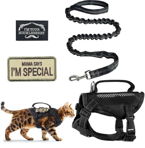 ZHHSUNY Verstellbares taktisches Katzengeschirr-Set, Air-Mesh-Walkingweste, ausbruchsicher, reflektierend, große Katzengeschirre mit Griff und gestickten Aufnähern (Schwarz, M) von ZHHSUNY