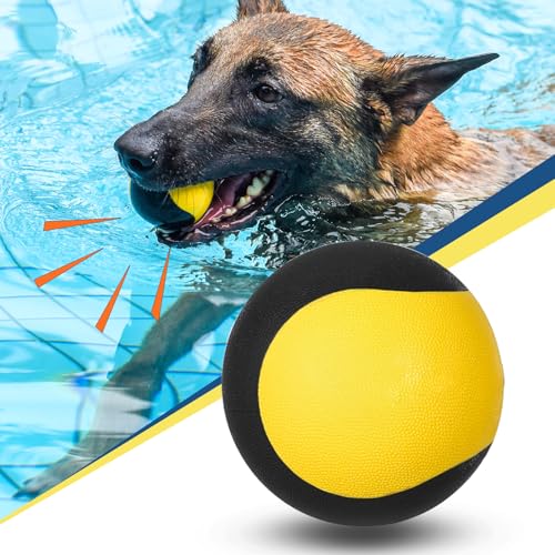 ZHIERDE Robuster schwimmender Hundespielzeugball - 7,6 cm Quietschball für aggressive Kauer, interaktives Spielen für mittelgroße und große Hunde von ZHIERDE