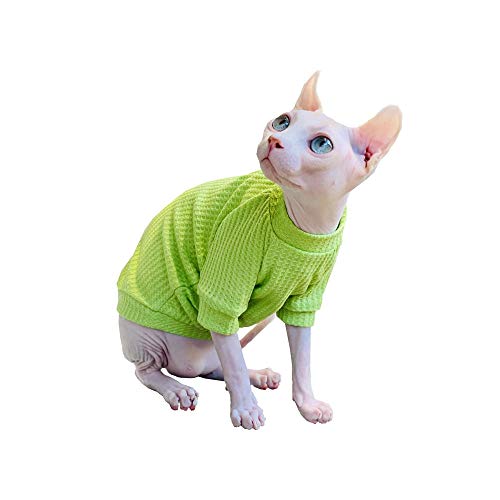 ZHIHAN Sphinx Katze kleidet dünnen T-Shirt Pullover Sommergrün, Grün, XS von ZHIHAN