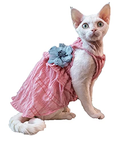 ZHIHAN Sphinx Katzenkleid Baumwolle Sommer Hosenträger Kleid Prinzessin Kleid, rosa, S + von ZHIHAN