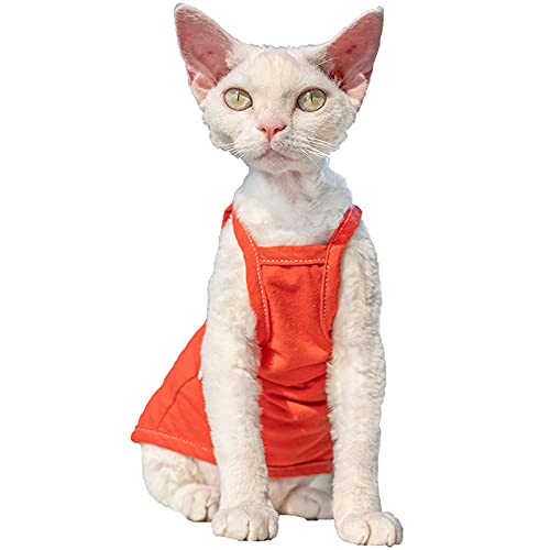 ZHIHAN Sphinx-Katzenkleidung, haarlose Katze, Baumwollhemd, Katzenklimaanlagenanzug (Mehrfarbig optional), Orange, S + von ZHIHAN