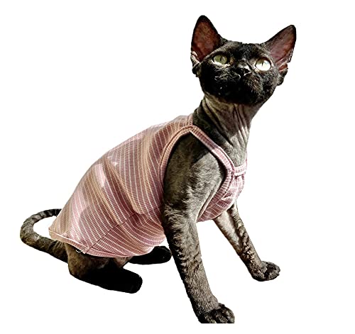 ZHIHAN Sphinx Katzenkleidung Baumwollunterhemd Sommersonnencreme, Unterhemd, XL+ von ZHIHAN