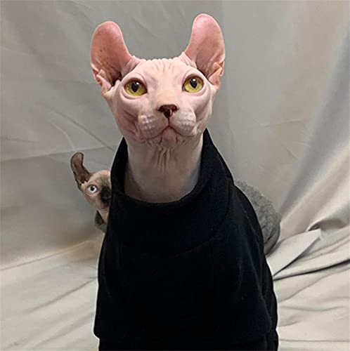 ZHIHAN Sphinx Katzenkleidung Haarloser Katzenkaschmirpullover, Thermo-Unterwäsche, 4-beinige Kleidung, schwarz (2-beinige Kleidung), M. von ZHIHAN