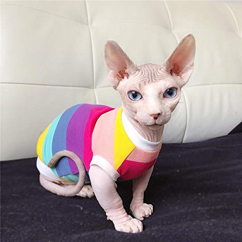 ZHIHAN Sphinx Katzenkleidung T-Shirt haarlose Katze hypoallergene Weste, Farbe 1, XL + von ZHIHAN