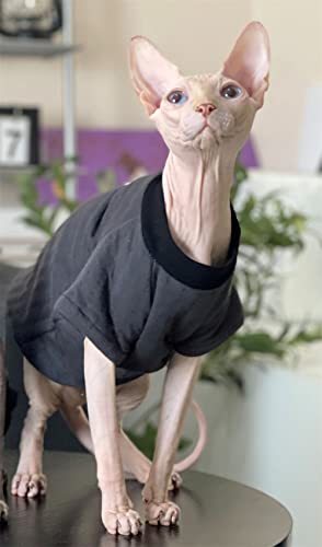 ZHIHAN Sphinx Katzenkleidung haarlose Katze Devon Herbst und Winter 4-Bein-Pullover aus Reiner Baumwolle, Pullover, XL von ZHIHAN
