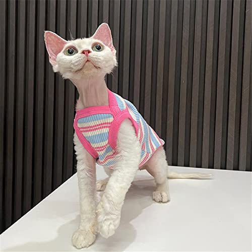 ZHIHAN Sphinx Katzenkleidung haarlose Katze Devon Tiefhals-Stretchweste gestreiftes Unterhemd, Weste, XXL- von ZHIHAN