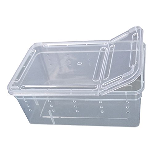 Zhouba Aufbewahrungsbox für Amphibien, Insekten, Reptilien, Kunststoff, transparent von ZHOUBAA