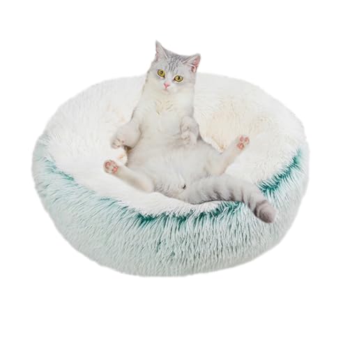 ZHULONGRUSHUI Beruhigendes Katzenbett, Donut-Bett, Anti-Angstzustände, Katzenbetten für Indoor-Katzen/Kätzchen, kleines Katzenbett, Sofa mit rutschfester Unterseite für Welpen, Hunde, waschbar (Grün) ZHULONGRUSHUI Beruhigendes Katzenbett, Donut-Bett, Anti-Angstzustände, Katzenbetten für Indoor-Katzen/Kätzchen, kleines Katzenbett, Sofa mit rutschfester Unterseite für Welpen, Hunde, waschbar (Grün) von ZHULONGRUSHUI