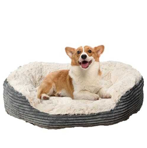 ZHULONGRUSHUI Hundebett, mittelgroß, beruhigendes Hundebett, waschbares Sofa, Hundebett oder Katzen, superweich, bequem, Woll-Fleece, PP-Baumwolle, hergestellt in grauem Haustierbett, Grau ZHULONGRUSHUI Hundebett, mittelgroß, beruhigendes Hundebett, waschbares Sofa, Hundebett oder Katzen, superweich, bequem, Woll-Fleece, PP-Baumwolle, hergestellt in grauem Haustierbett, Grau von ZHULONGRUSHUI