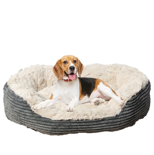 ZHULONGRUSHUI Hundebett, waschbar, superweich, flauschiges Kissen, Haustierbett mit erhöhten Kanten, Welpenbett für mittelgroße und große Katzen, rutschfeste Unterseite, Grau ZHULONGRUSHUI Hundebett, waschbar, superweich, flauschiges Kissen, Haustierbett mit erhöhten Kanten, Welpenbett für mittelgroße und große Katzen, rutschfeste Unterseite, Grau von ZHULONGRUSHUI