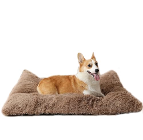 ZHULONGRUSHUI Hundebett,Haustierbett,Hundesofa,Flauschig Waschbar Hundekissen,Kuschelig Rechteckiger Hundekörbchen,rutschfeste Unterseite,für Kleine,Mittlere und Große Hunde Katzen(Kaffee) von ZHULONGRUSHUI