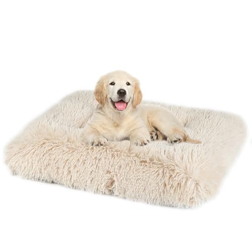 ZHULONGRUSHUI Hundebett,Hundebett Mittelgroße Hunde Waschbar Hundekissen flauschig,Hundekissen,Hundesofa,rutschfeste Unterseite,Langer Plüsch,Weich& Bequem,multifunktional,tragbar(Aprikosenfarbe) ZHULONGRUSHUI Hundebett,Hundebett Mittelgroße Hunde Waschbar Hundekissen flauschig,Hundekissen,Hundesofa,rutschfeste Unterseite,Langer Plüsch,Weich& Bequem,multifunktional,tragbar(Aprikosenfarbe) von ZHULONGRUSHUI