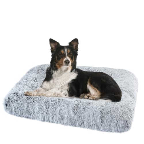 ZHULONGRUSHUI Hundebett Kleine Hunde,Hundekissen,Flauschige Hundematte,rutschfeste Unterseite,Haustierbett Hundematratze,Hundekorb,weiche Polsterung,maschinenwaschbar,tragbar(Hellgrau) von ZHULONGRUSHUI