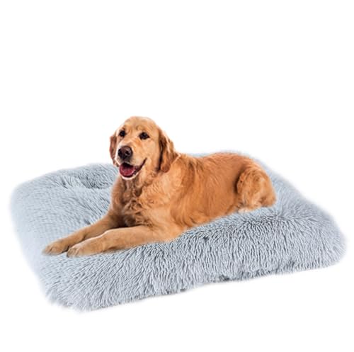 ZHULONGRUSHUI Hundebett Waschbar,Plüsch Flauschig Hundekorb Hundebett,Haustierbett,Hundesofa,Hundekissen,Rutschfestes Hundematte,Weich& Bequem,für Kleine,Mittlere und Große Hunde Katzen(Hellgrau) ZHULONGRUSHUI Hundebett Waschbar,Plüsch Flauschig Hundekorb Hundebett,Haustierbett,Hundesofa,Hundekissen,Rutschfestes Hundematte,Weich& Bequem,für Kleine,Mittlere und Große Hunde Katzen(Hellgrau) von ZHULONGRUSHUI