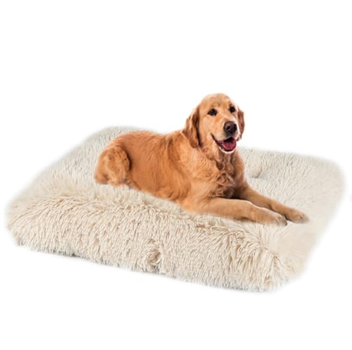 ZHULONGRUSHUI Hundekissen,Hundebett Waschbar,Haustierbett,Hundesofa,Flauschig Waschbar Hundekissen,Rutschfestes Hundematte,Extra Weich für Kleine,Mittlere und Große Hunde Katzen(Aprikosenfarbe) von ZHULONGRUSHUI