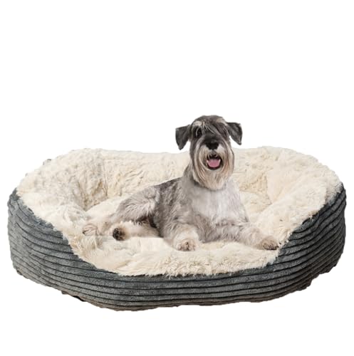 ZHULONGRUSHUI Kleines Hundebett, Katzenbett, beruhigendes Hunde- und Katzenbett, Angstlinderung, Hundesofabett mit erhöhten Kanten, superweiches Welpenbett mit rutschfester Unterseite, waschbar, Grau ZHULONGRUSHUI Kleines Hundebett, Katzenbett, beruhigendes Hunde- und Katzenbett, Angstlinderung, Hundesofabett mit erhöhten Kanten, superweiches Welpenbett mit rutschfester Unterseite, waschbar, Grau von ZHULONGRUSHUI