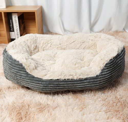 ZHULONGRUSHUI Weiches Hundebett, beruhigendes Hundebett, Katze, Haustierbett, Angstlinderung, Hundesofabett mit rutschfester Unterseite, waschbar, große Katzenbetten für Katzen und Welpen, Grau ZHULONGRUSHUI Weiches Hundebett, beruhigendes Hundebett, Katze, Haustierbett, Angstlinderung, Hundesofabett mit rutschfester Unterseite, waschbar, große Katzenbetten für Katzen und Welpen, Grau von ZHULONGRUSHUI