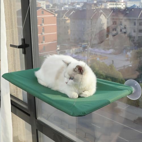 Katzen Hängematte Fensters, Katze Fensters Barsch Mits 4 Starken Saugnäpfen Platz Sparende Katzen Hängematte Katzen Fensterliege Für Katzen Im Inneren Katzen Hängematte Fensters, Katze Fensters Barsch Mits 4 Starken Saugnäpfen Platz Sparende Katzen Hängematte Katzen Fensterliege Für Katzen Im Inneren von ZHUMCCY