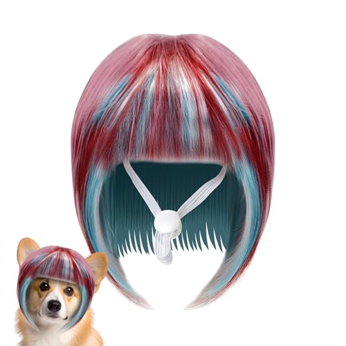 ZHUMCCY Pet Perücke Für Kleine Hunde - Bunte Tier Perücke Für Kostüm - Halloween Weihnachten rutschfeste Kopfbedeckung Für Parade Party Fotografie Familienfeier Bühnenauftritt ZHUMCCY Pet Perücke Für Kleine Hunde - Bunte Tier Perücke Für Kostüm - Halloween Weihnachten rutschfeste Kopfbedeckung Für Parade Party Fotografie Familienfeier Bühnenauftritt von ZHUMCCY