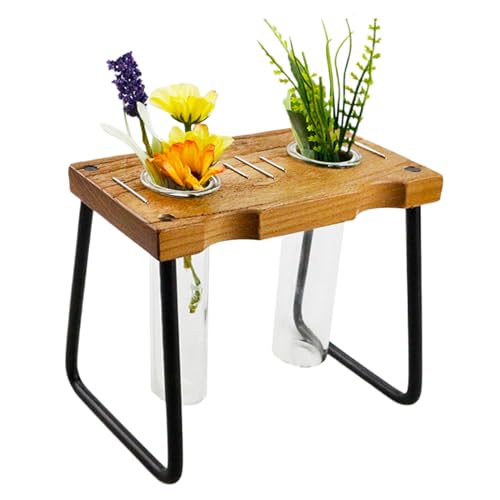 ZHUMCCY Pflanzenterrarium,Tisch-Terrarium Mit Holzständer | Dekoratives Gartenzubehör & Wohnaccessoire für Schreibtisch, oder Fensterbank ZHUMCCY Pflanzenterrarium,Tisch-Terrarium Mit Holzständer | Dekoratives Gartenzubehör & Wohnaccessoire für Schreibtisch, oder Fensterbank von ZHUMCCY