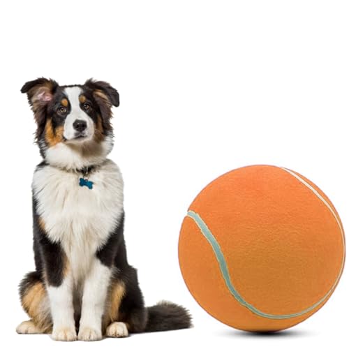 ZHUOKECE 24,1 cm großer Riesen-Tennisball für Hunde, Tennisball, großes Haustier-Kauspielzeug, Hundeball, Geschenk mit Nadel (Orange) von ZHUOKECE