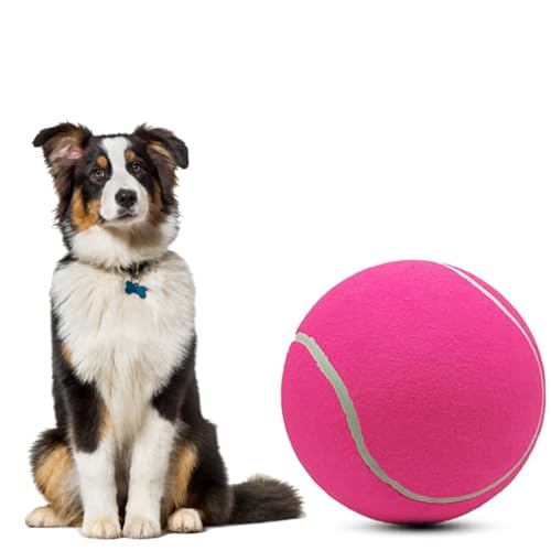 ZHUOKECE 24,1 cm großer Riesen-Tennisball für Hunde, Tennisball, großes Haustier-Kauspielzeug, Hundeball, Geschenk mit Nadel (Rosa) von ZHUOKECE