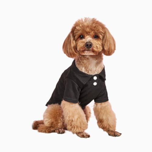 Hundekleidung Warme Jacke Katzenbekleidung Haustierhemd Mantel for Welpen Kätzchen Kleine Mittelgroße Hunde Katzen Pullover(Black,L) von ZHXQRP