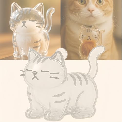 Cat Hair Keychain,Katzenhaar-Aufbewahrungsflasche,Katzenhaar SchlüSselanhäNger,Schlüsselanhänger zum Sammeln von Katzenhaaren,Transparenter Katzenhaar-Aufbewahrungsbox-Anhänger (Cat B) von ZHYAKLD