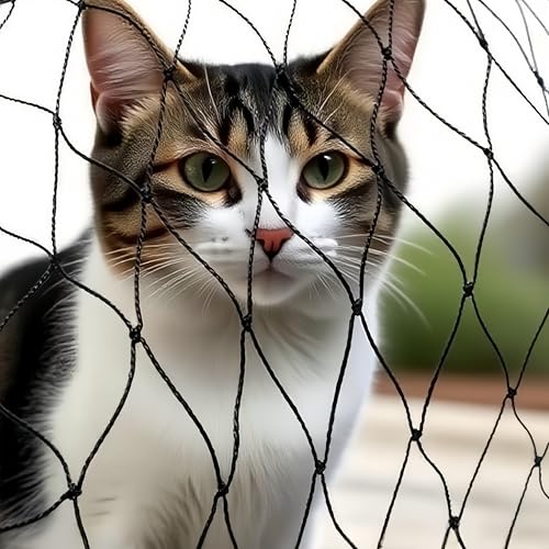 ZHYAKLD Katzennetz für Balkon, 2x3m Nylon Katzennetz Schwarz,Können Zuschneidbar ​und Bissfest Balkonnetze,3CM Vogelschutznetz,Ohne Bohren Geeignet für Balkone, Terrassen, Oberlichter,Zäune (2×3M) von ZHYAKLD