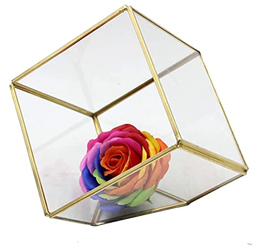 1 Packung mehrseitiges quadratisches geometrisches Terrarium, freistehendes Glas-Blumenzimmer, Tisch-Ausstellung, Pflanzgefäß, für Sukkulenten, Farnkakteen (goldfarben) von ZHZXBDGQ